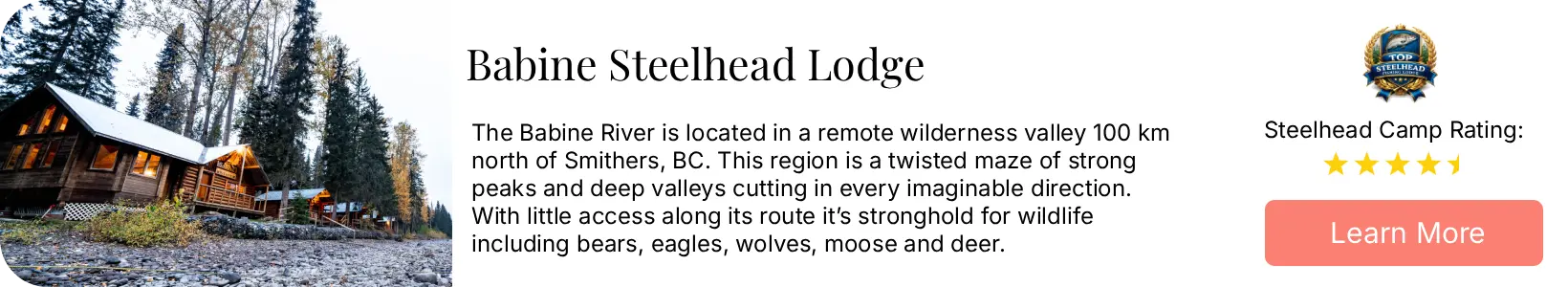 Babine Steelhead Lodge review card from SteelheadCamp
