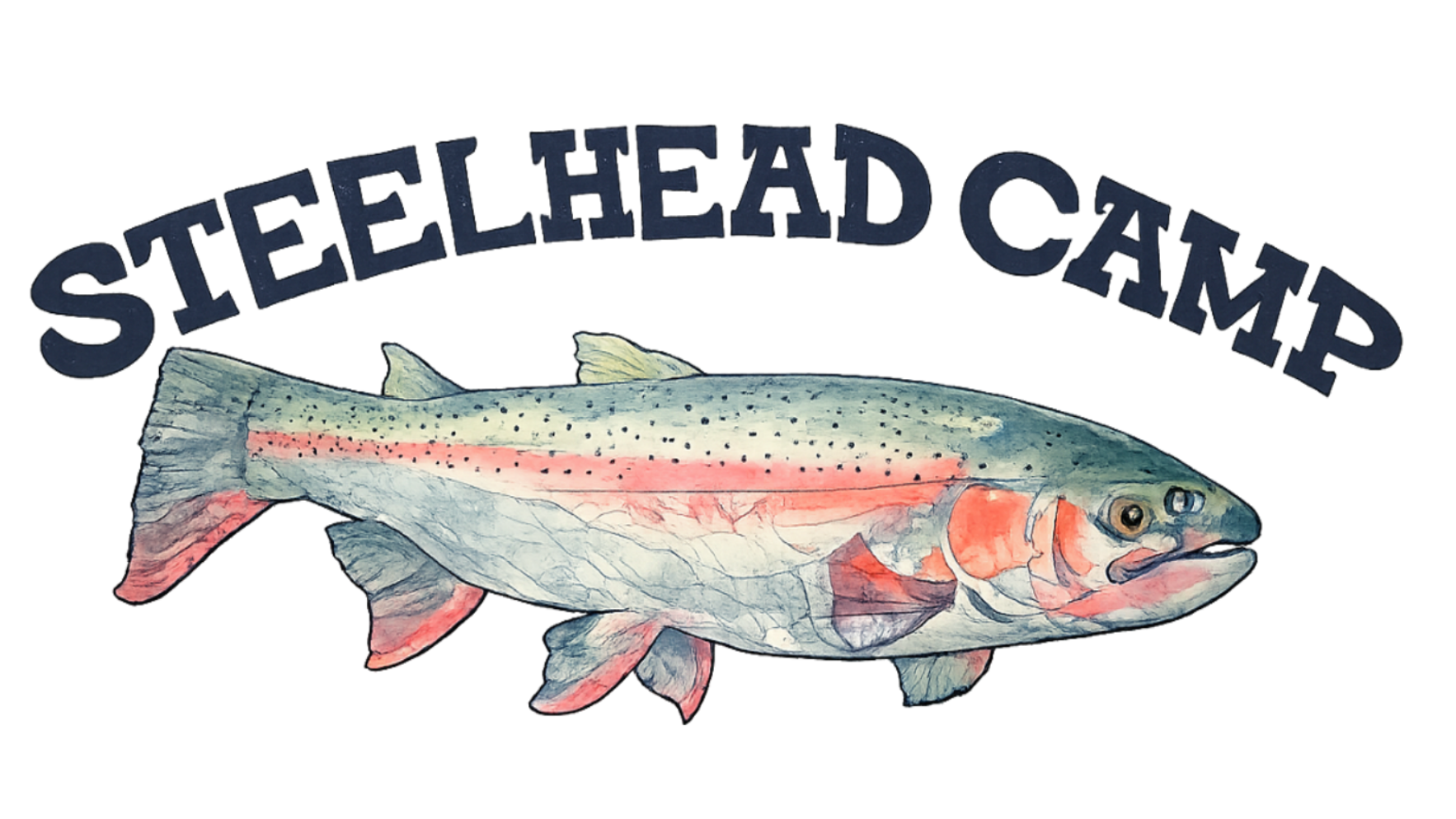 SteelheadCamp official standard logo featuring an illustrated steelhead fish